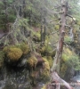 image33.jpg