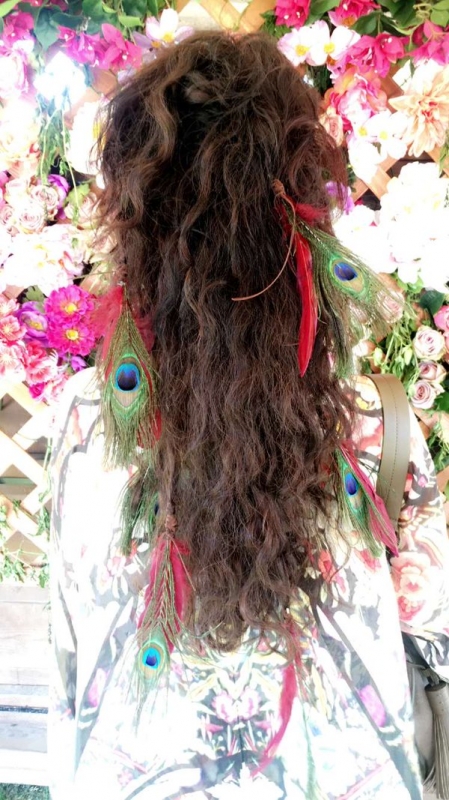 image217.jpg
