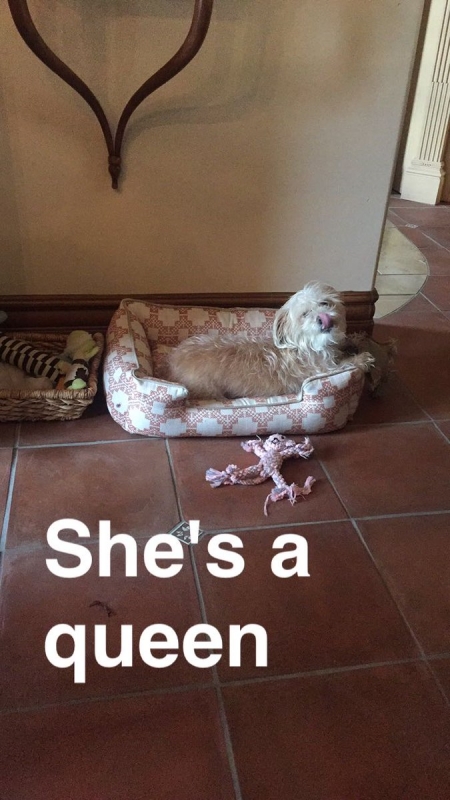 image428.jpg