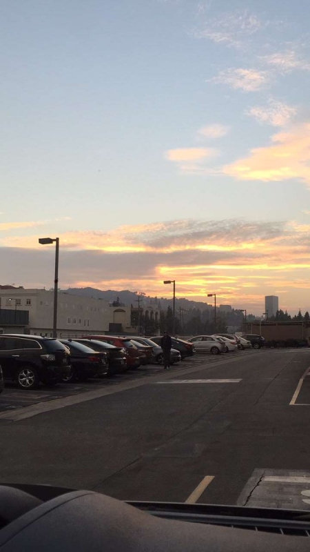 image478.jpg