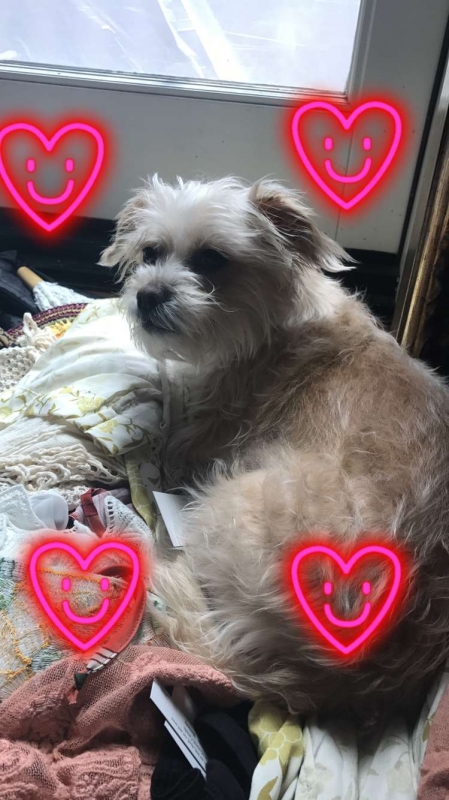 image600_2813129.jpg