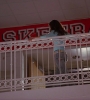 HSM1_003532.jpg