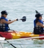 image35.jpg
