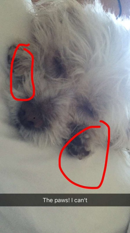 normal_image233.jpg