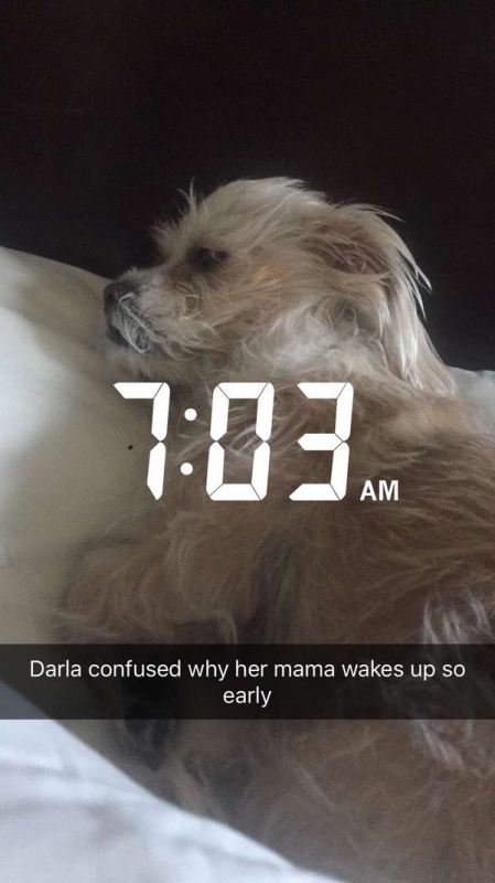 normal_image239.jpg
