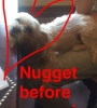normal_image230.jpg