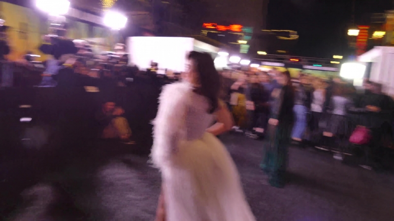 image237.jpg