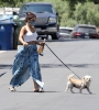 vanessa-hudgens-out-with-her-dog-in-los-angeles-07-02-2020-5.jpg