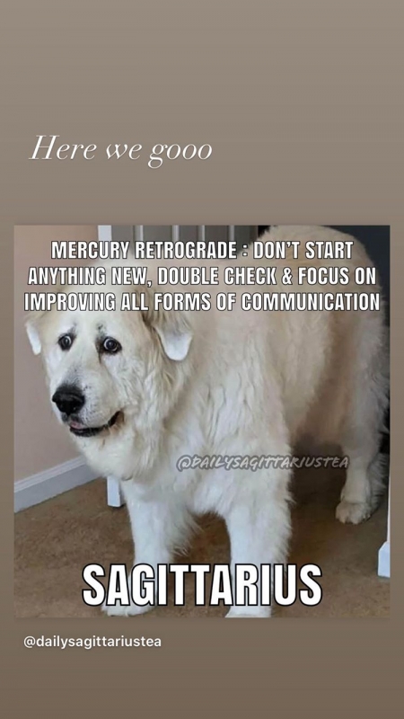 49D04A5B-0907-4617-879B-833BAB228B94.jpeg