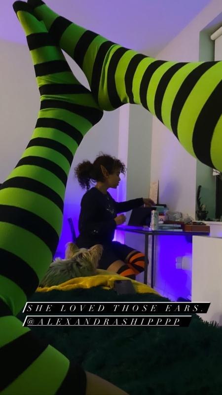 6D6E7306-C5EB-4549-AC65-4FB09441BF2F.jpeg