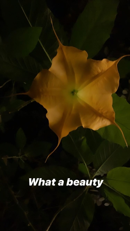 96085D07-1291-48B8-AE9D-47DBE99F00B6.jpeg