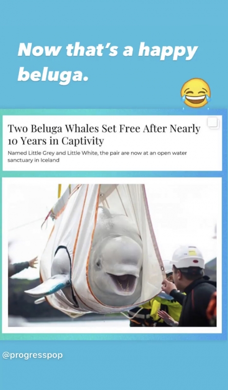A3FD1BD1-4218-473D-AA52-DB54774F34E4.jpeg