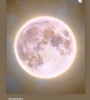 412FB992-1A27-4B42-8372-8EA63AC928FF.jpeg