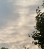 95DA4DF3-1032-48A2-BA2D-AC613AC803AA.jpeg