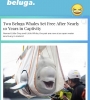 A3FD1BD1-4218-473D-AA52-DB54774F34E4.jpeg