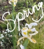 A778303A-42D3-49A2-BC47-ABD68C10FBB2.jpeg