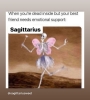 AD6BC107-F765-44CE-9962-C481A4055D0B.jpeg