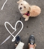 D39410A1-7900-43AE-9376-7E0C59E070A5.jpeg