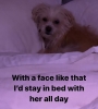 D6E66F6A-F0D6-4722-8E76-06350161EE54.jpeg