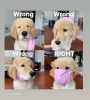D8A402D6-86B4-4A8B-900B-9CD32635D9DD.jpeg