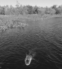 01538.jpg