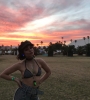02063.jpg